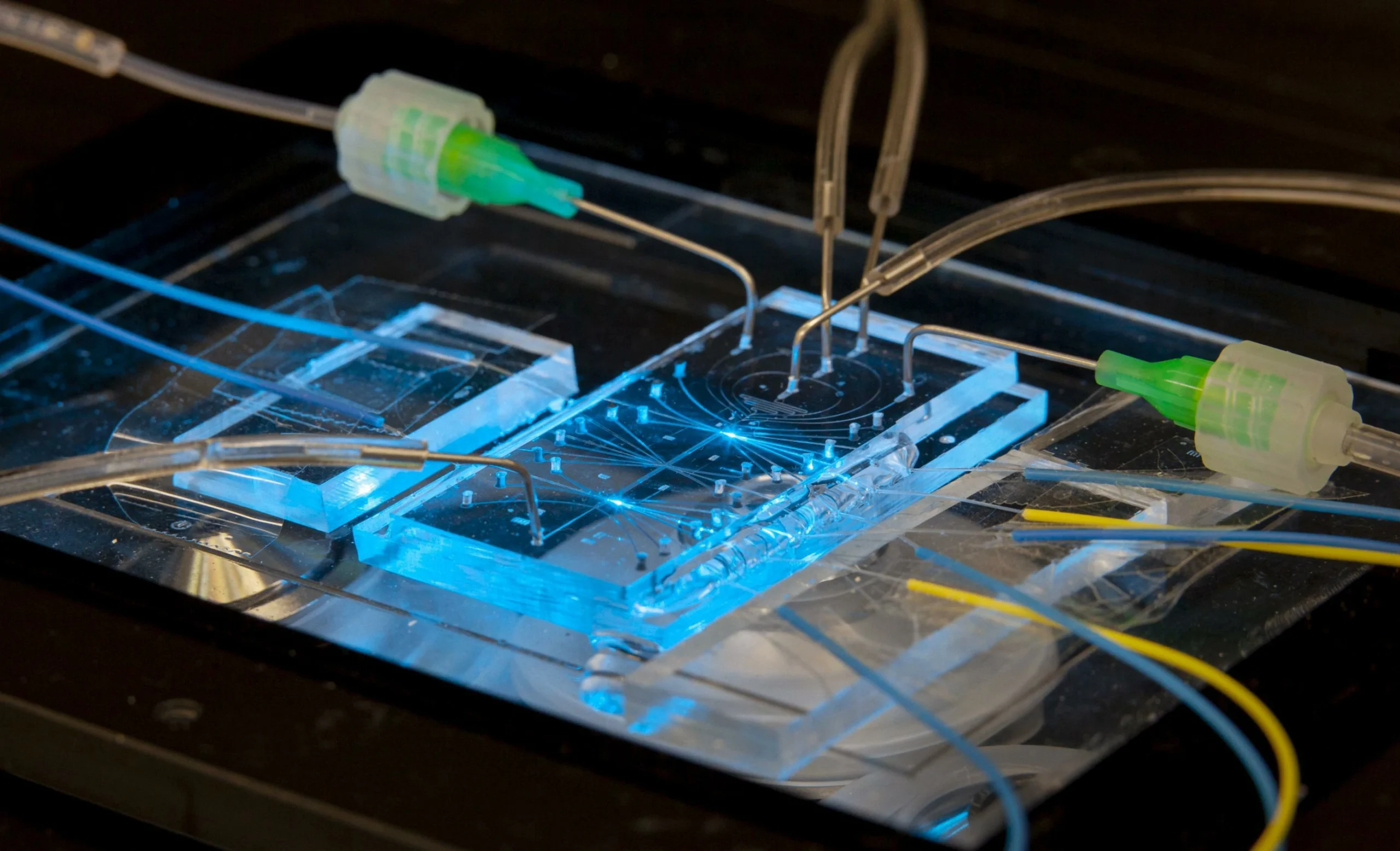 Microfluidics PCR Laboratory